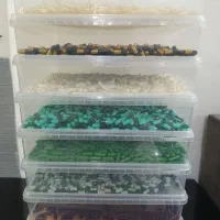 پوکه خالی کپسول