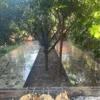 اجاره ویلا باغ طزرجان روزانه|اجارهٔ کوتاهمدت ویلا و باغ|تفت, |دیوار