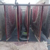 قالیشویی وپتوشویی|خدمات نظافت|کیار, |دیوار