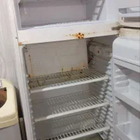 یخچال یک قلو|یخچال و فریزر|تربت‌حیدریه, ده پائین|دیوار