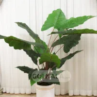 درختچه مصنوعی بابا آدم