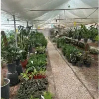 استخدام کارگر ساده فروشگاه ۱۵تا۲۰سال ، جای خواب|استخدام خدمات فروشگاه و رستوران|اصفهان, ارداجی|دیوار