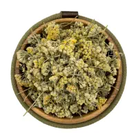 بو مادران کوهی