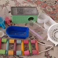 لوازم قفس عروسی