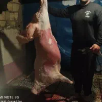 کله پاچه سیرابی پاک شده کیلوی ۴۰۰هزار|خوردنی و آشامیدنی|فردیس, شهرک ارم|دیوار