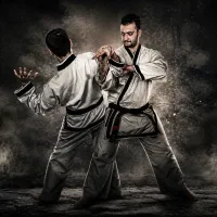 آموزش دفاع شخصی کره ای