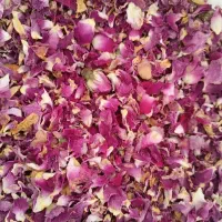 گل محمدی