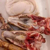 گوسفند زنده پرواری نصف‌ونصف گوشت میده|حیوانات مزرعه|قم, الغدیر|دیوار