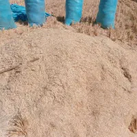 کاه گندم|لوازم جانبی حیوانات|گلپایگان, |دیوار