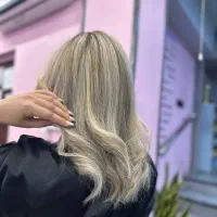 دستیار رنگ و مش