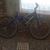 کفتر|دوچرخه، اسکیت، اسکوتر|زرند, |دیوار