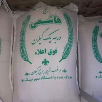 برنج هاشمی درجه یک