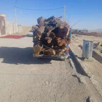 خرید وهرس چوب باغی|خدمات باغبانی و درختکاری|بیرجند, |دیوار