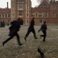 ادمین برای پیج آموزشی زبان