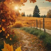 نیازبه همکارخانم