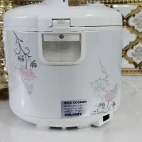 پلوپز ده نفره سانی نو|اجاق گاز و لوازم برقی پخت‌وپز|مشهد, تلگرد|دیوار