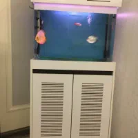 فروش آکواریوم با تجهیزات اکواریوم و سه تا ماهی