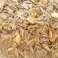 خرید فروش خشکبار وضایعات خانگی آلومینیوم ومس غیره