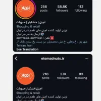 مدیریت پیج شما|خدمات رایانه‌ای و موبایل|قم, سالاریه|دیوار