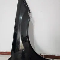 گلگیر جلو سمت شاگرد دنا و دنا پلاس رنگ شده
