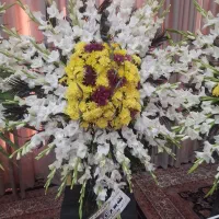 تاج گل|گل و گیاه طبیعی|ابریشم, |دیوار