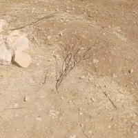 فروش زمین خدماتی  شهرک صنعتی شهرکرد