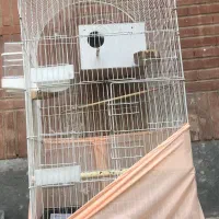 قفس بزرگ مناسب انواع طوطی