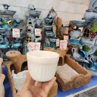 گلدان کاکتوسی سایز کوچک سرامیکی سرامیک ساکولنت|گل و گیاه طبیعی|قم, نیروگاه|دیوار