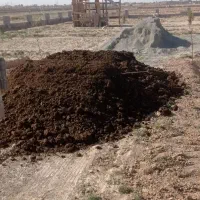 کود حیوانی کود طبیعی کود کمپست|گل و گیاه طبیعی|رباط‌کریم, رباط‌کریم|دیوار