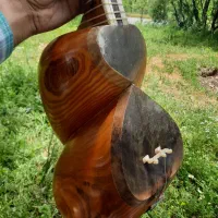 تار حرفه ای