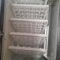 دستگاه جوجه کشی فاخته ۲۱۰ تای|لوازم جانبی حیوانات|گرگان, |دیوار