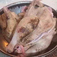 خروس پاک شوده
