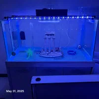 آکواریوم ۱۰میل طول ۱۲۰ارتفاع ۶۰ عرض ۵۰