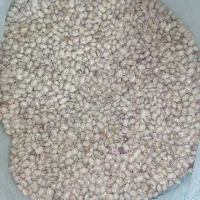 لوبیا چیتی. خورشتی لوبیا گرم. لوبیا برای آش سبزی