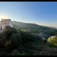 واحد سروش جنگل ویو ابدی لابی مجلل|اجارهٔ آپارتمان|گرگان, |دیوار