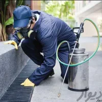 سم پاشی موریانه سوسک ساس سمپاشی تضمینی