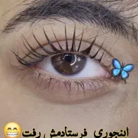 آموزش و کاشت انواع مژه با تخفیف بلک فرایدی|خدمات آرایشگری و زیبایی|بندر کنگان, |دیوار