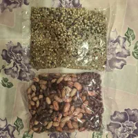 بذر انواع لوبیا و سبزیجات 2 بسته