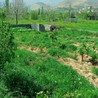 باغ در روستای حمید
