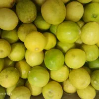 غوره با آبگیری ۸۵