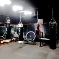 باشگاه رزمی نینجا