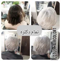 خدمات تخصصی رنگ مو|خدمات آرایشگری و زیبایی|رشت, دیلمان|دیوار