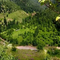 فروش-و-معاوضه-زمین-ییلاقی-لر-با-طولارود-اسالم