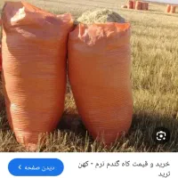 خریدار کاه گندم