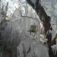 0912144803 سیم کارت کد 1