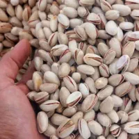 پسته  طلای سبز دامغان|خوردنی و آشامیدنی|ری, جوانمرد قصاب|دیوار