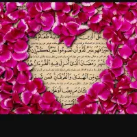سرکتاب