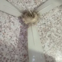 پنکه سقفی