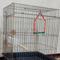 قفس پرنده