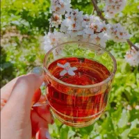 چایی درمانی|خوردنی و آشامیدنی|شیراز, احمدآباد|دیوار